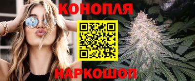 спиды Можга