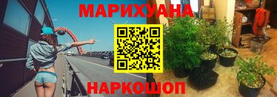 спиды Можга