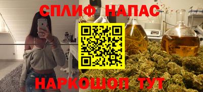спиды Можга